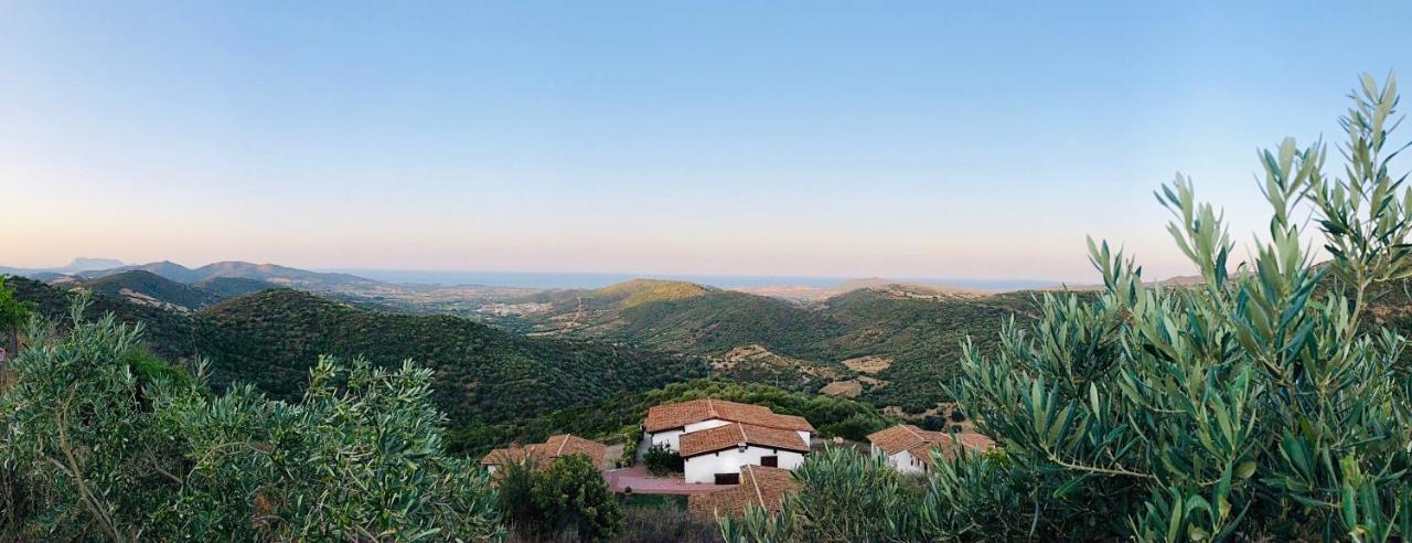 Trasicca B&B Brunella ภายนอก รูปภาพ